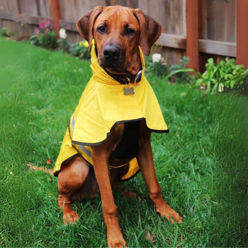 Stormshiled Rain Jacket