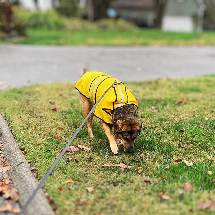 Stormshiled Rain Jacket