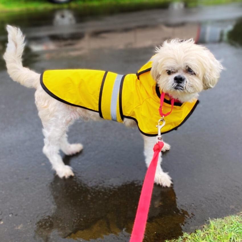 Stormshiled Rain Jacket