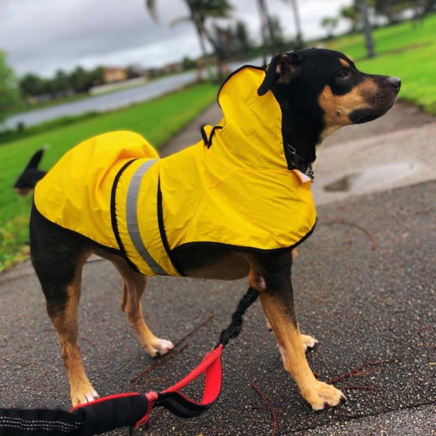 Stormshiled Rain Jacket