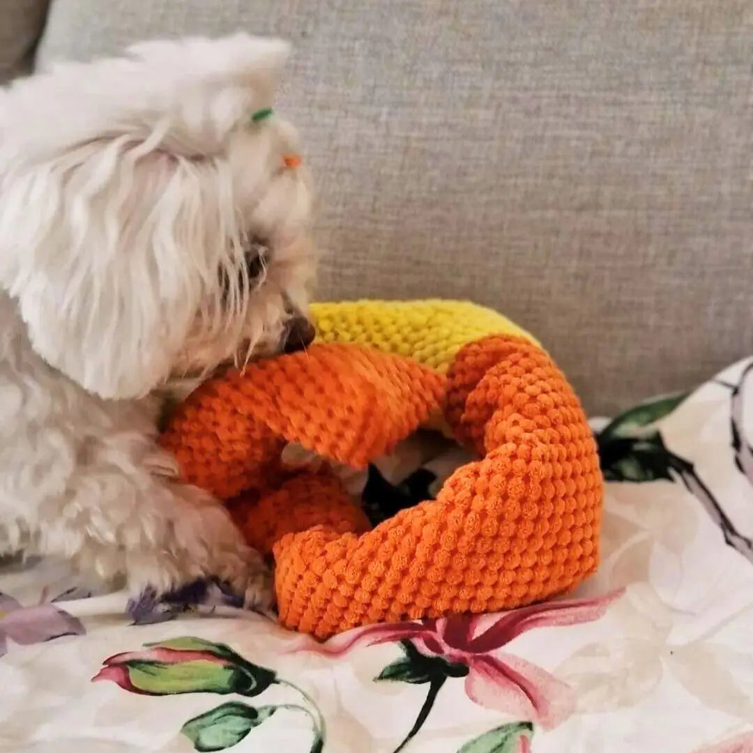 The Magic Snail Snuffle Toy