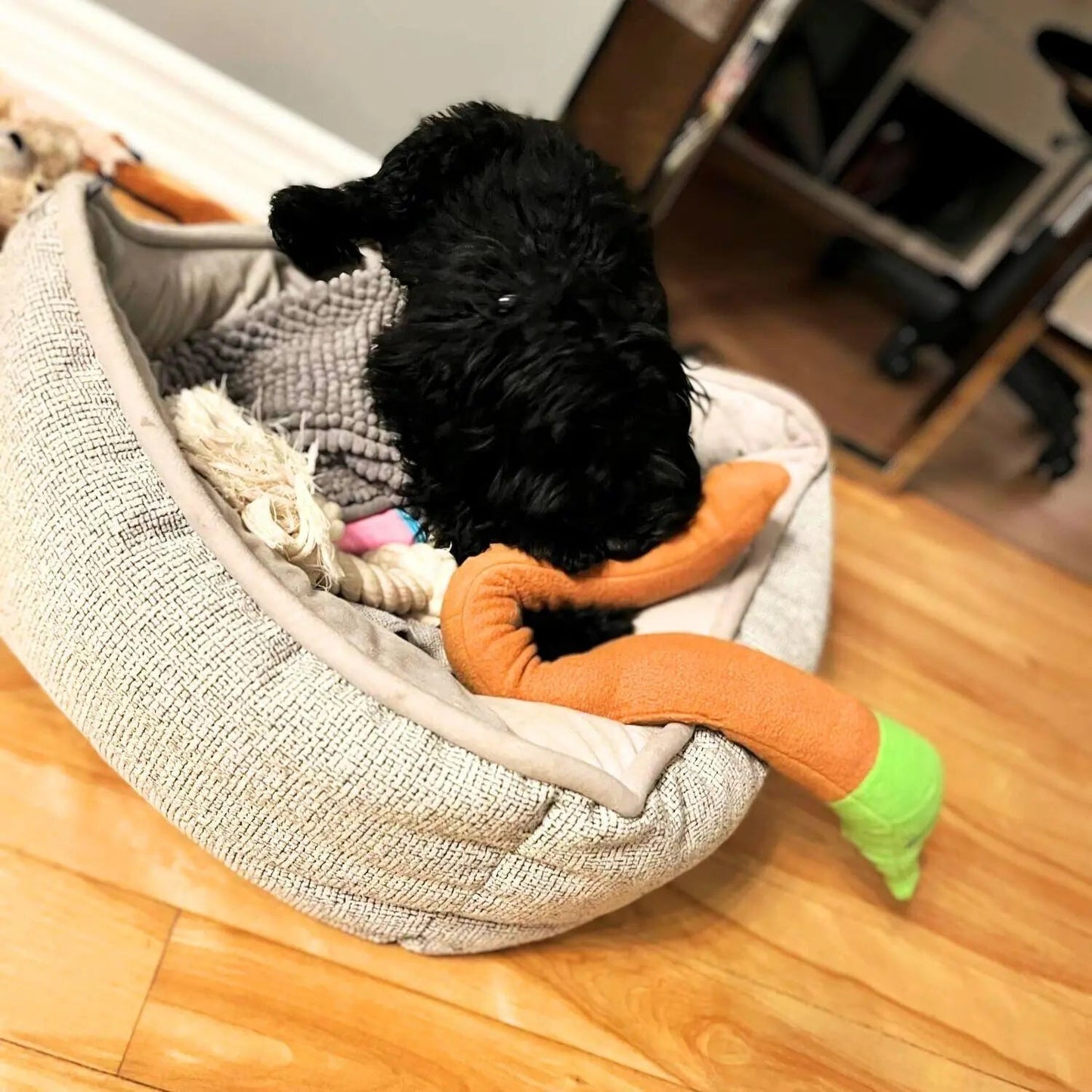 The Magic Snail Snuffle Toy