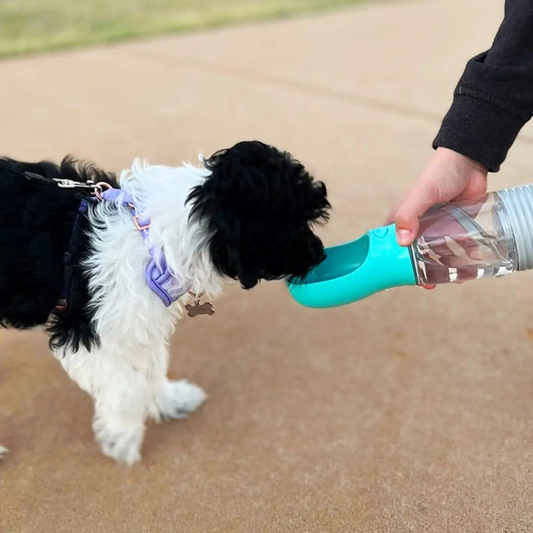 Portable 3-1 Dog Water Bottle