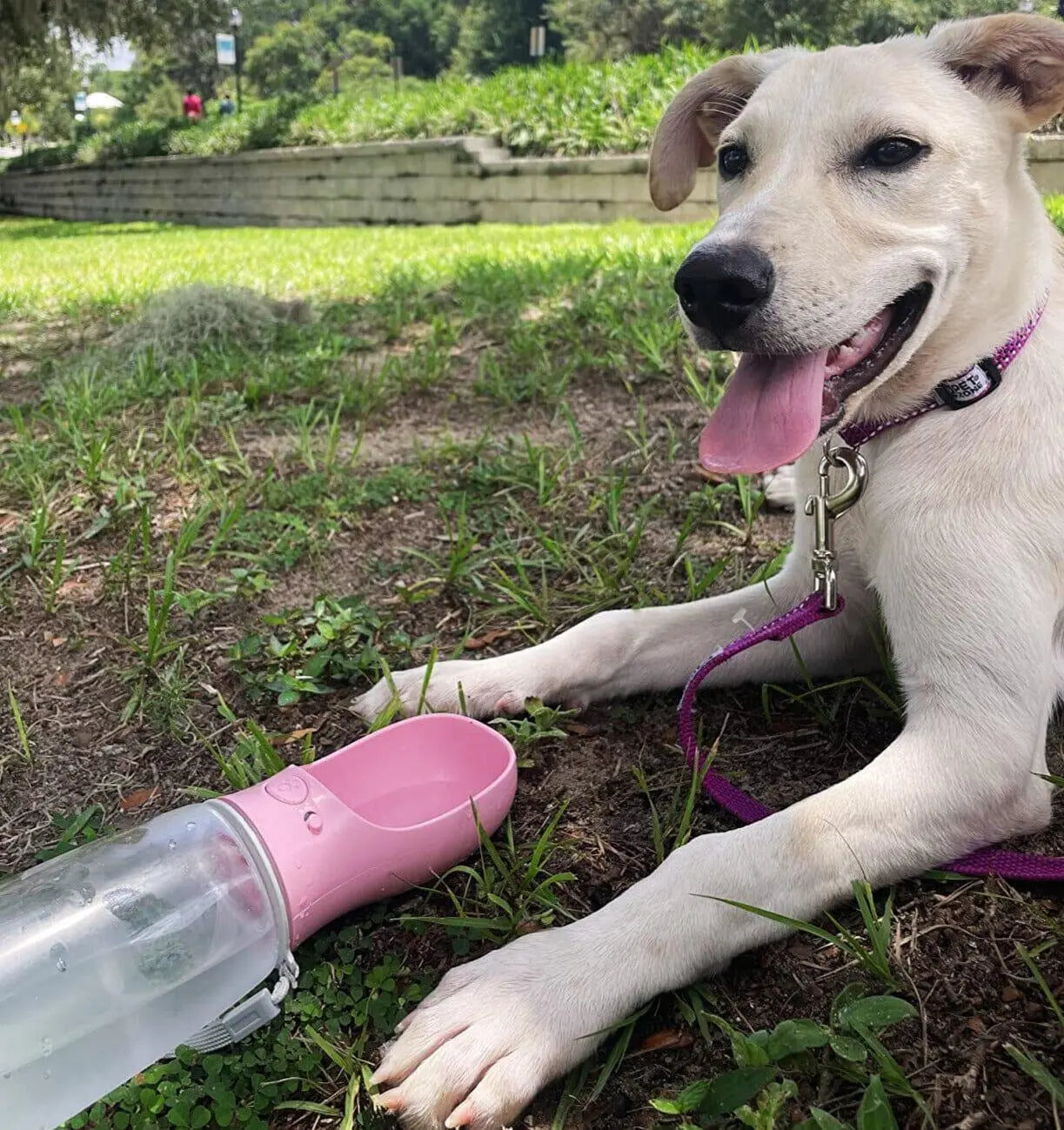 Portable 3-1 Dog Water Bottle