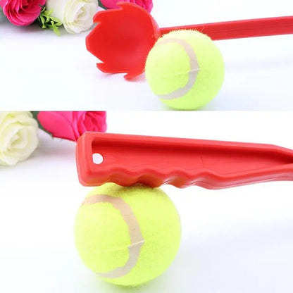 FetchMaster Ball Thrower