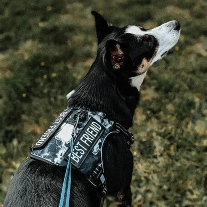 Commander Harness