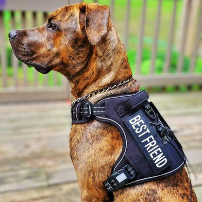 Commander Harness