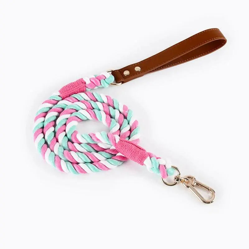 Braided Rope Leash With Leather Handle