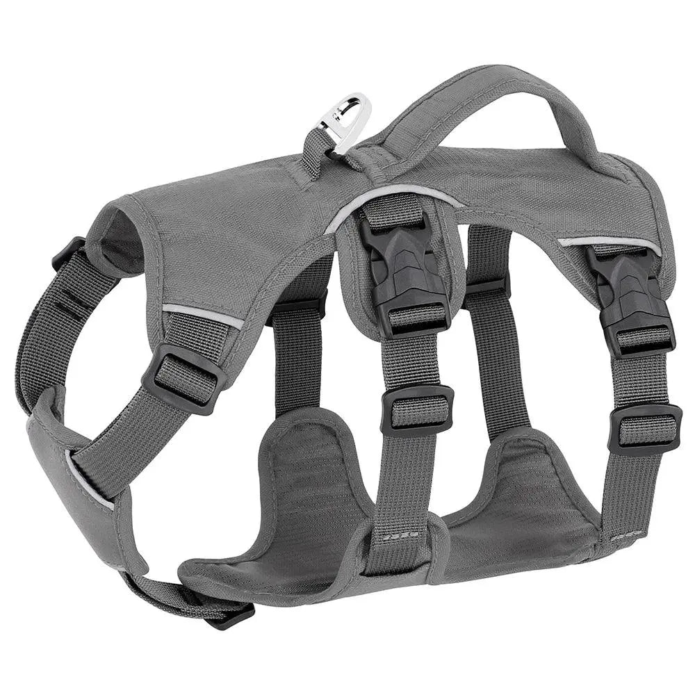 Houdini Double-Strap Harness