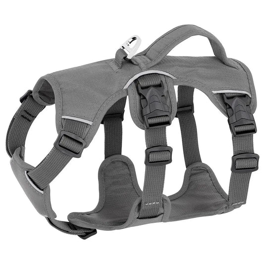 Houdini Double-Strap Harness