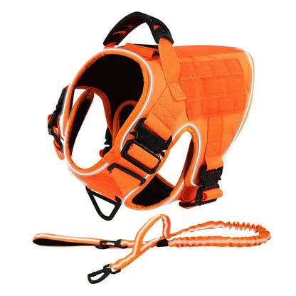Alpha Harness & Tactical Set