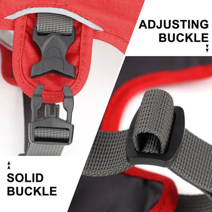 Houdini Double-Strap Harness