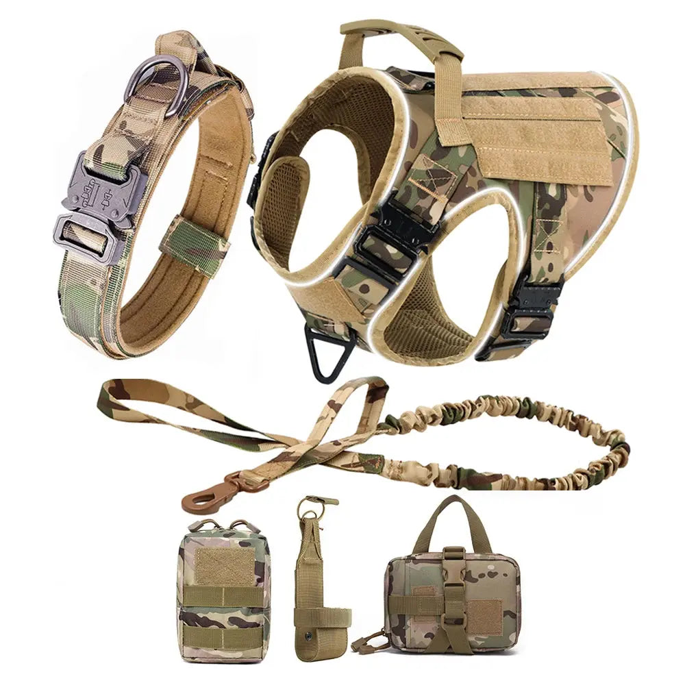 Alpha Harness & Tactical Set