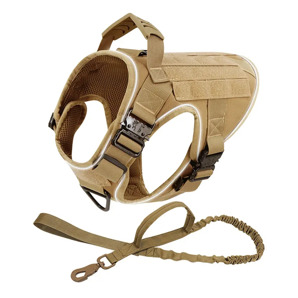 Alpha Harness & Tactical Set