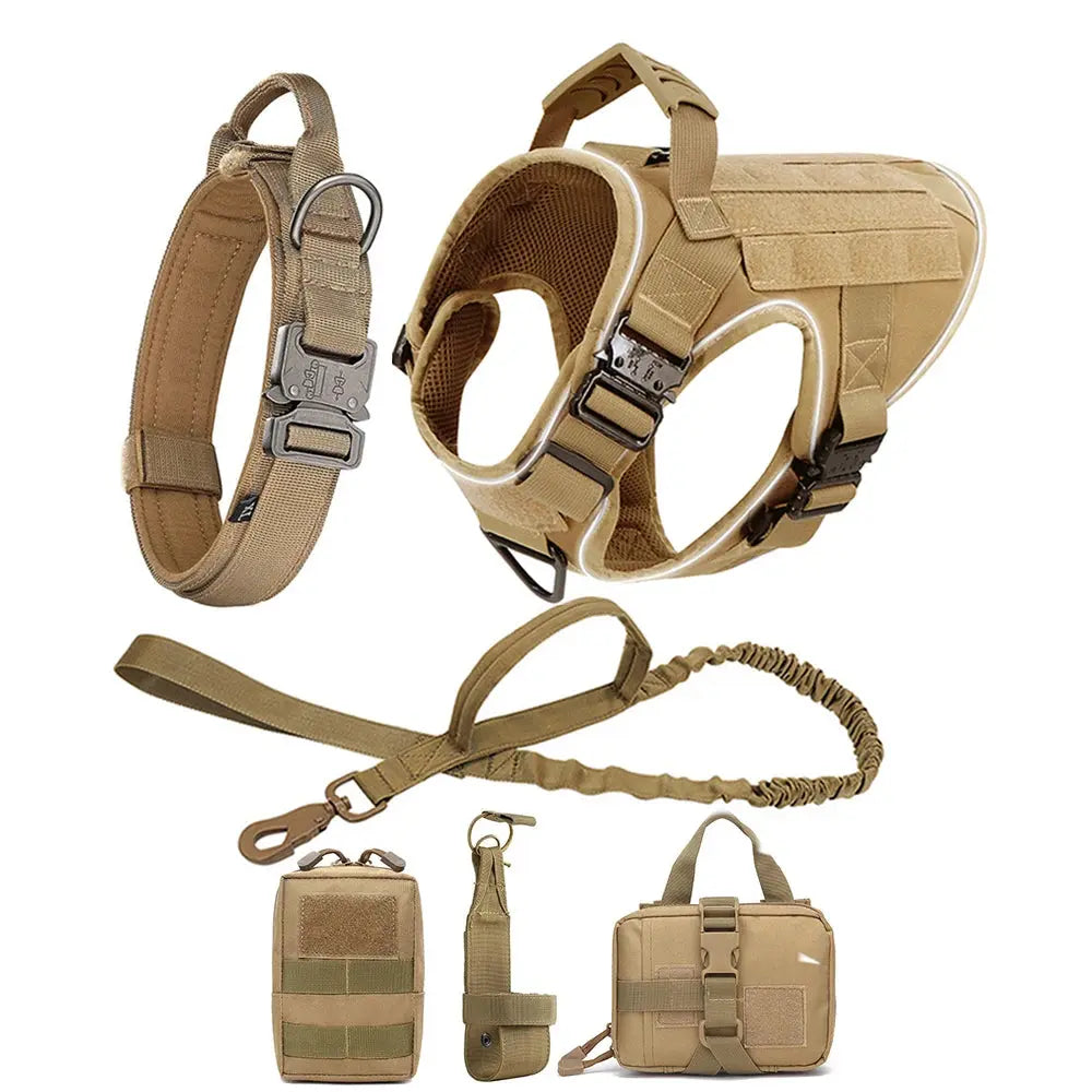 Alpha Harness & Tactical Set