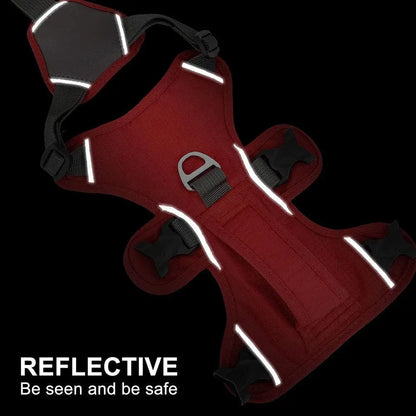 Houdini Double-Strap Harness