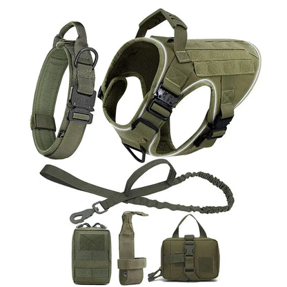 Alpha Harness & Tactical Set