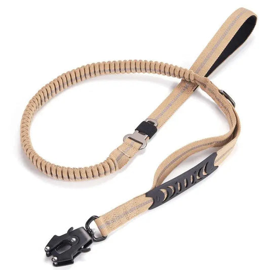 Heavy-Duty Bungee Leash With Metal Frog Clip