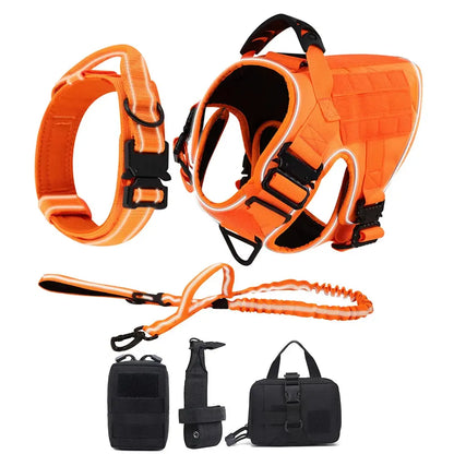 Alpha Harness & Tactical Set