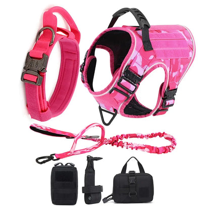 Alpha Harness & Tactical Set