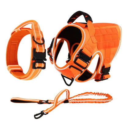 Alpha Harness & Tactical Set
