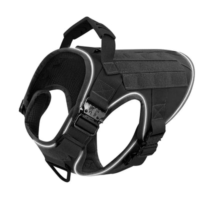 Alpha Harness & Tactical Set