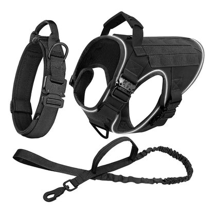 Alpha Harness & Tactical Set