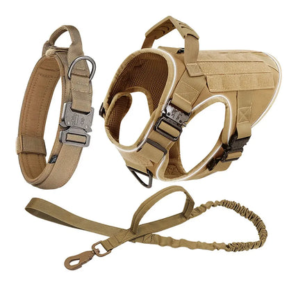 Alpha Harness & Tactical Set