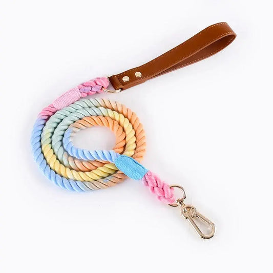 Braided Rope Leash With Leather Handle