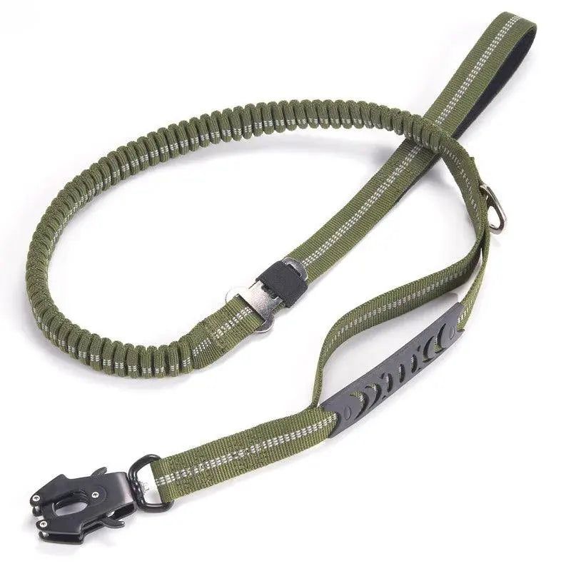 Heavy-Duty Bungee Leash With Metal Frog Clip
