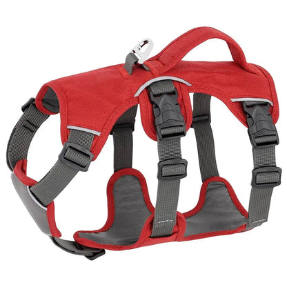 Houdini Double-Strap Harness
