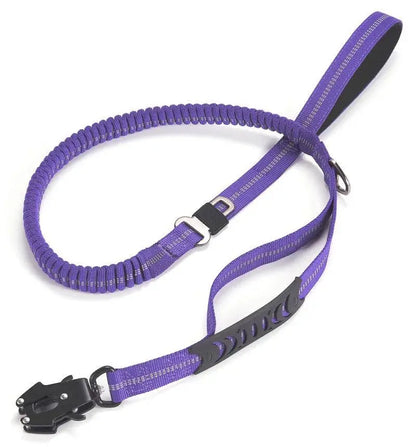 Heavy-Duty Bungee Leash With Metal Frog Clip