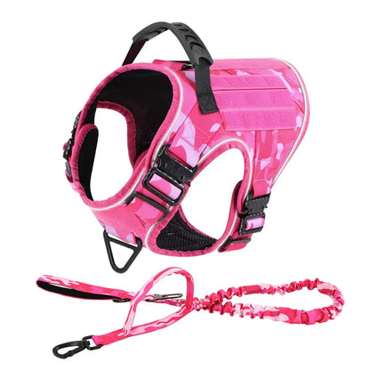 Alpha Harness & Tactical Set
