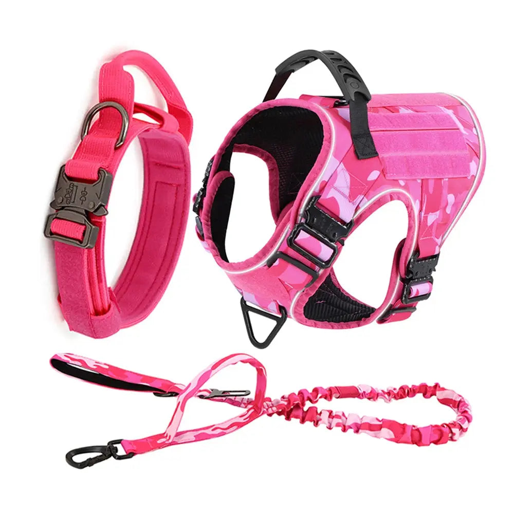 Alpha Harness & Tactical Set