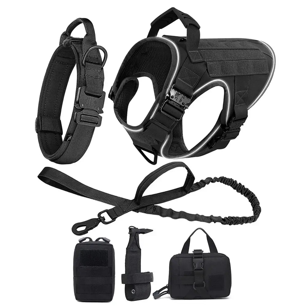 Alpha Harness & Tactical Set