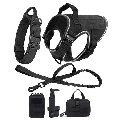 Alpha Harness & Tactical Set