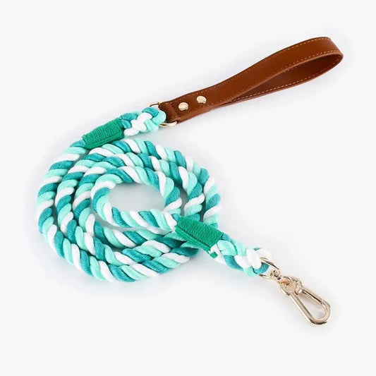 Braided Rope Leash With Leather Handle