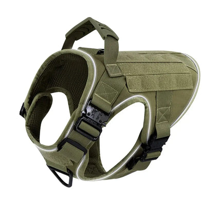 Alpha Harness & Tactical Set
