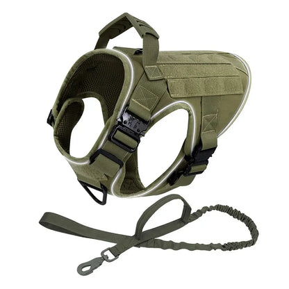 Alpha Harness & Tactical Set