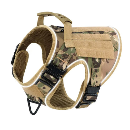 Alpha Harness & Tactical Set