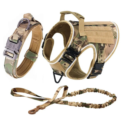 Alpha Harness & Tactical Set