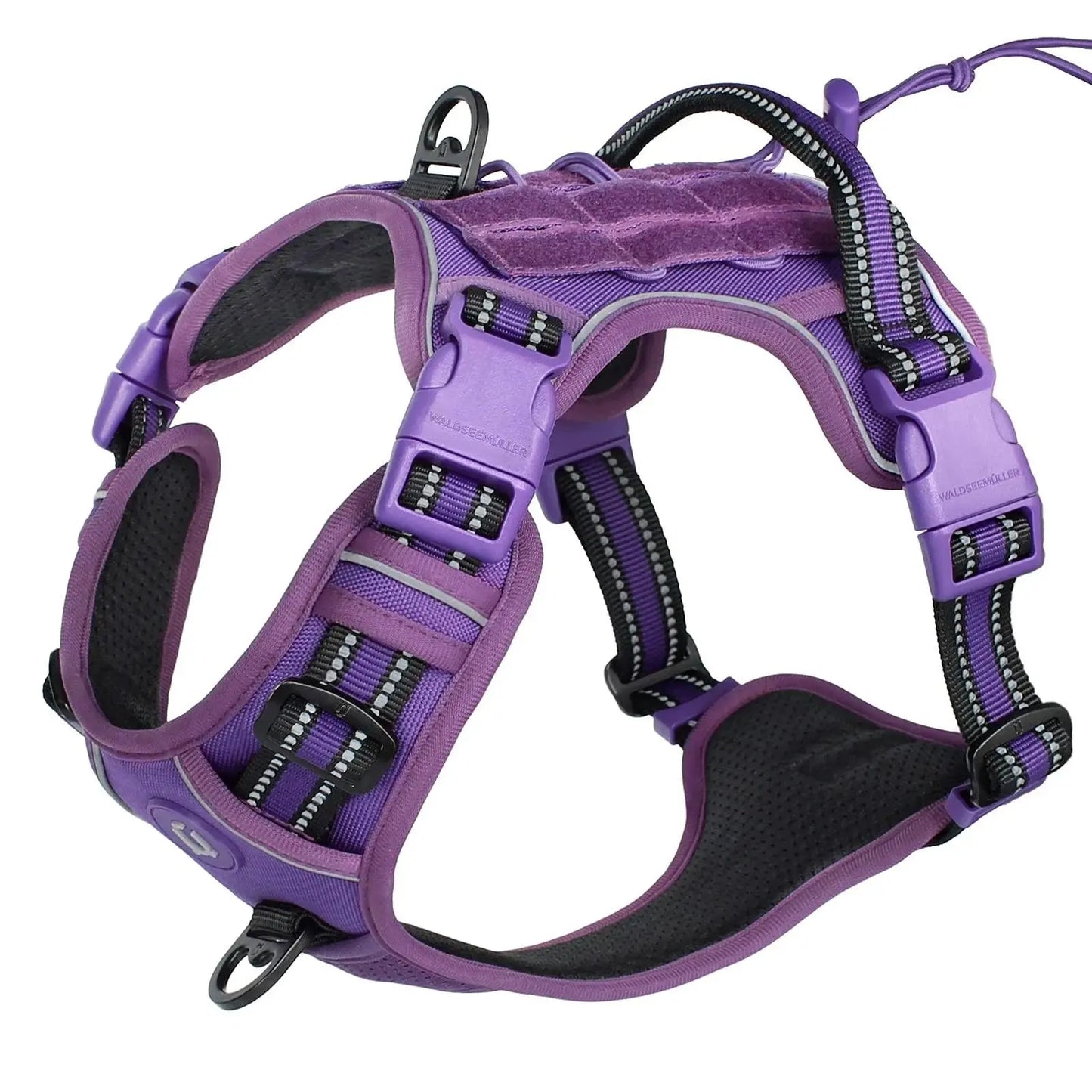 Pathfinder Harness