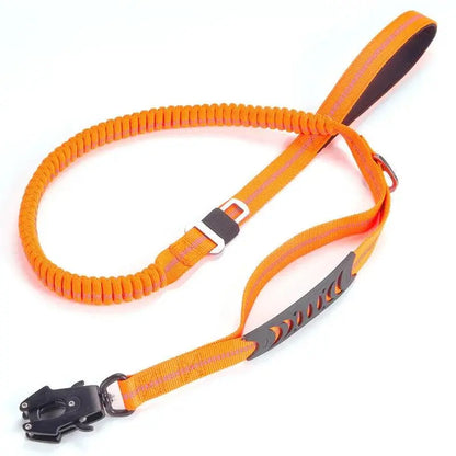 Heavy-Duty Bungee Leash With Metal Frog Clip