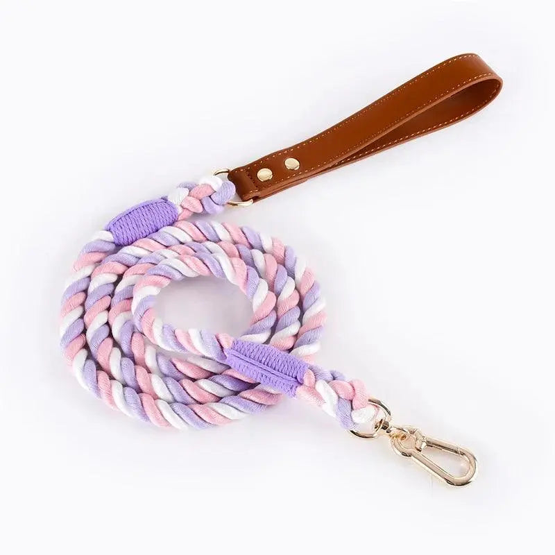 Braided Rope Leash With Leather Handle