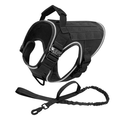 Alpha Harness & Tactical Set