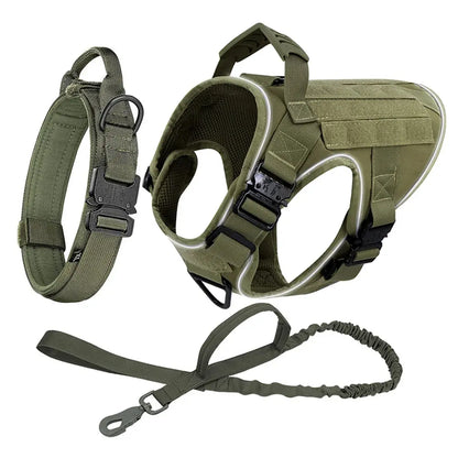 Alpha Harness & Tactical Set