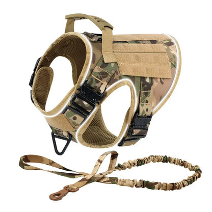 Alpha Harness & Tactical Set
