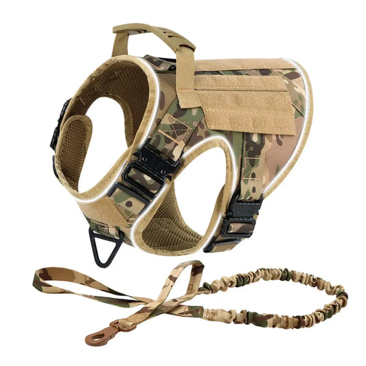 Alpha Harness & Tactical Set