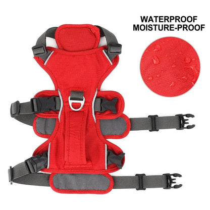 Houdini Double-Strap Harness