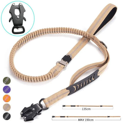 Heavy-Duty Bungee Leash With Metal Frog Clip